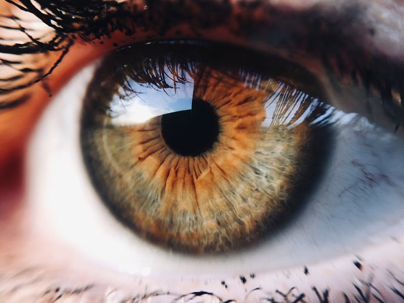 Restauracao Visual em Ponta Grossa Vitrectomia como Solucao para Problemas de Retina