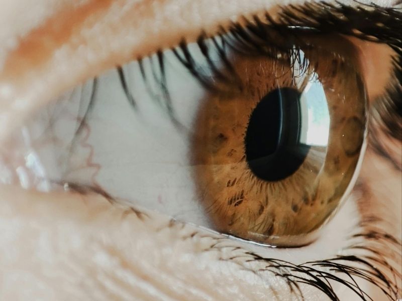 Cirurgia de Catarata em Ponta Grossa tecnologia, segurança e precisão no IVPG