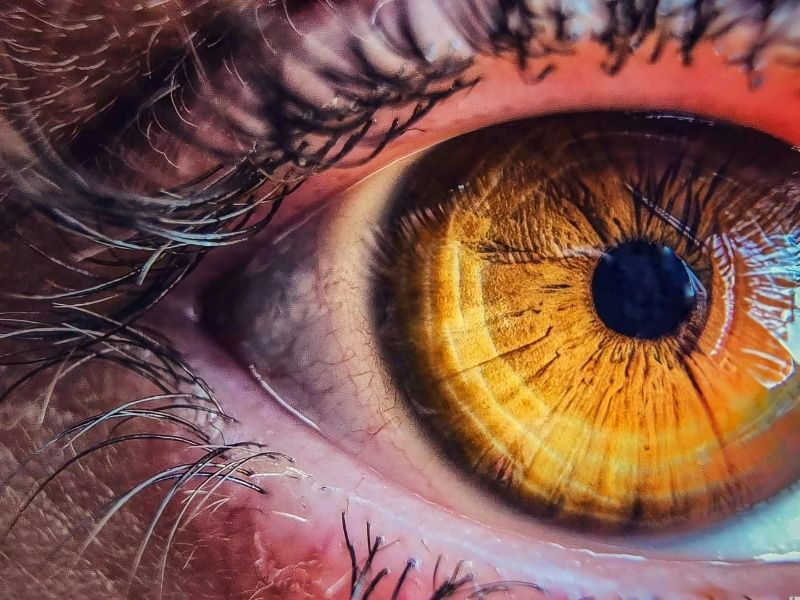 Tratamento da Retinopatia Diabética em Ponta Grossa