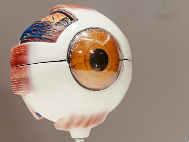 Tratamento do Glaucoma em Ponta Grossa diagnóstico precoce e controle da visão no IVPG